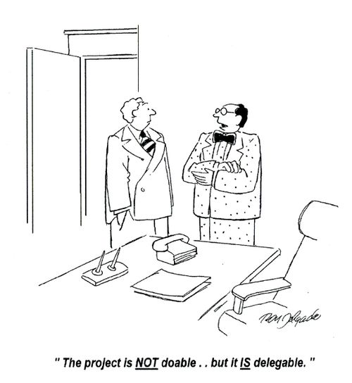 'The project is NOT doable... but it IS delegable.'