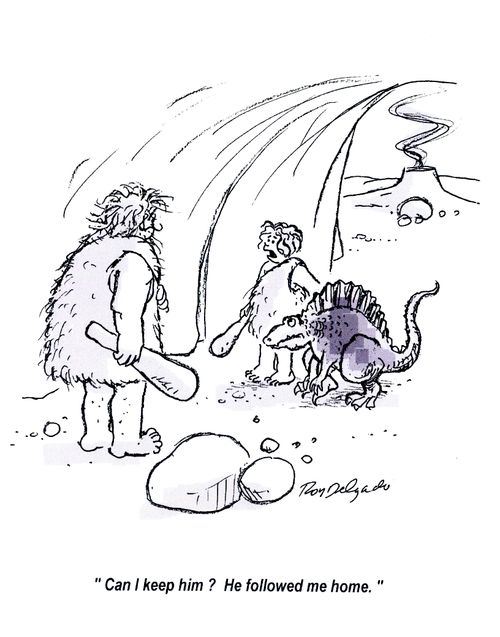 'Can I keep him? He followed me home.'
