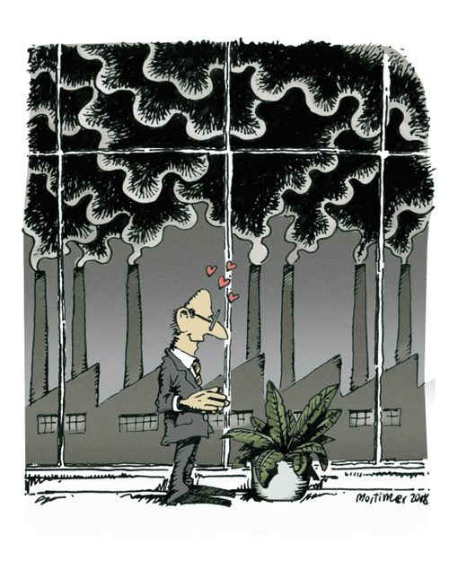 Plant care.