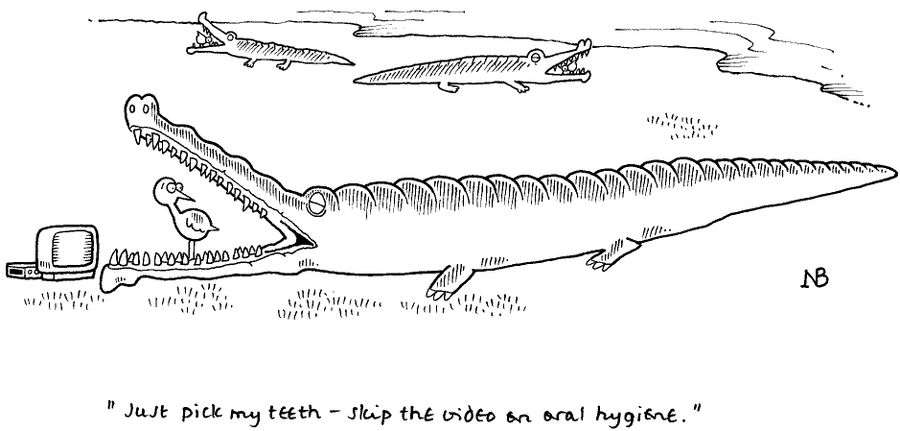 'Just pick my teeth - skip the video an oral hygiene.'