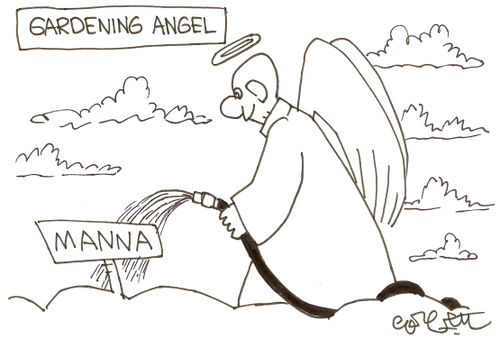 Gardening Angel: MANNA.