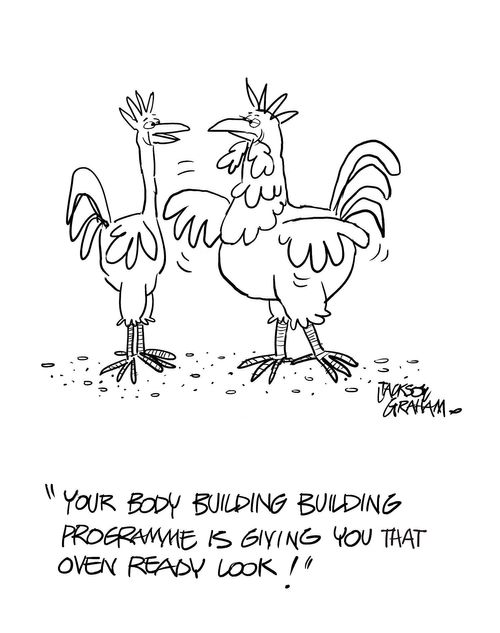 'Your body building programme is giving you that oven ready look!'
