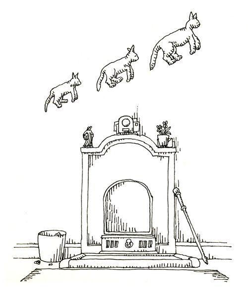 101 uses of a dead cat: wall decoration
