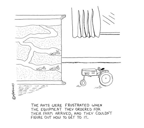 The ants were frustrated when the equipment they ordered for their farm arrived, and they couldn't figure out how to get to it.