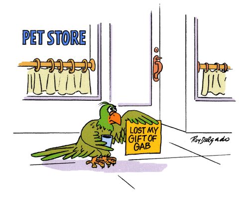 Parrot: Lost my gift of gab.