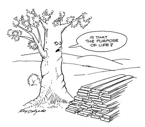 'Is that the purpose of life?'