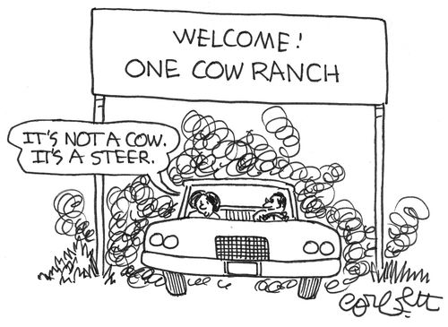 Folks leaving ONE COW RANCH: 'It's not a cow.  it's a steer.'