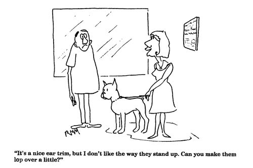 'It's a nice ear trim, but I don't like the way they stand up,,,,'