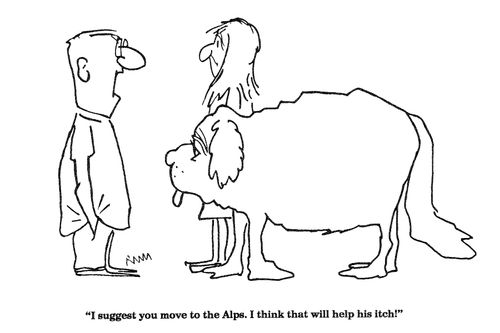 'I suggest you move to the Alps.  I think that will help his itch!'
