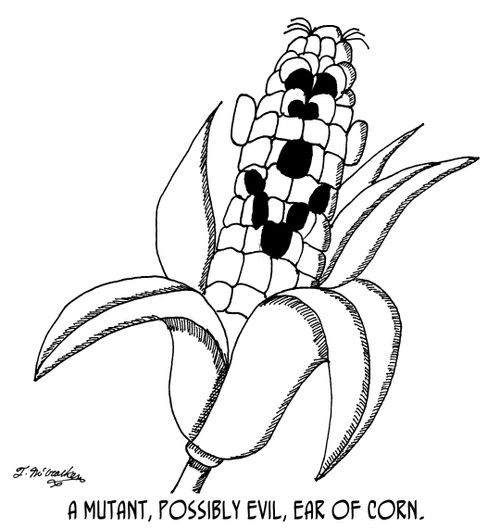 A mutant, possibly evil, ear of corn.