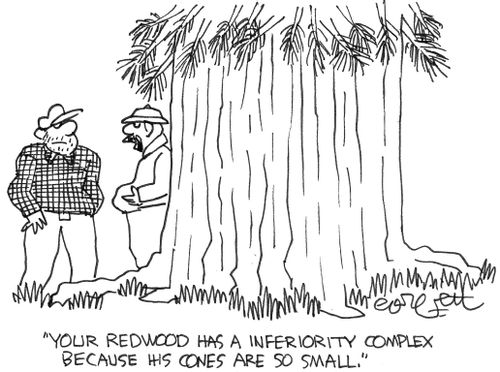 "Your redwood has an inferiority complex because his cones are so small."