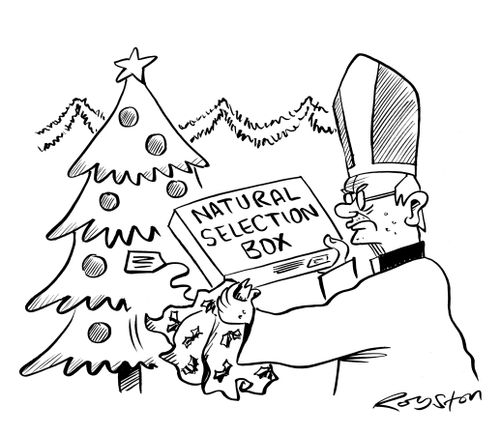Disgruntled clergyman opens a 'Natural Selection Box'