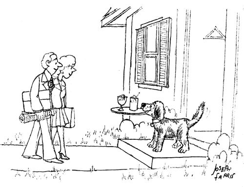 Pet Dog.