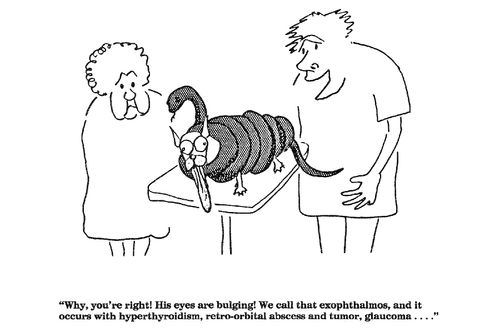 'Why, you're right!  His eyes are bulging!...