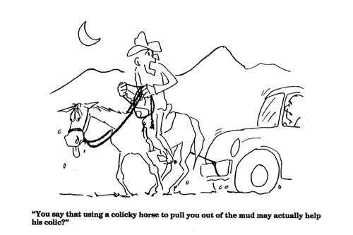 "You say that using a colicky horse to pull you out of the mud may actually help his colic?"