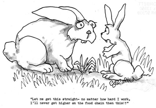 'No matter how hard I work, I'll never get higher on the food chain then this?'