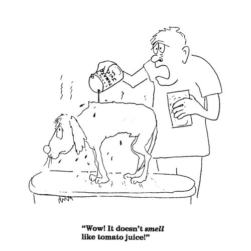 'Wow!  It doesn't smell like tomato juice!'