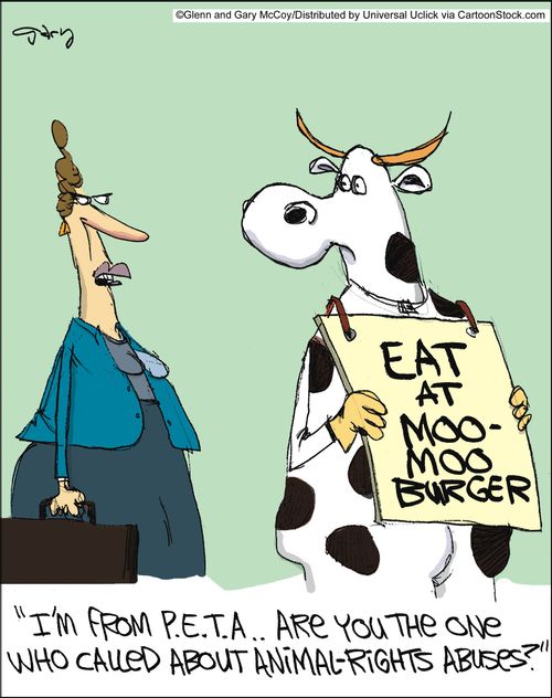 'I'm from P.E.T.A.. Are you the one who called about animal-rights abuses?'