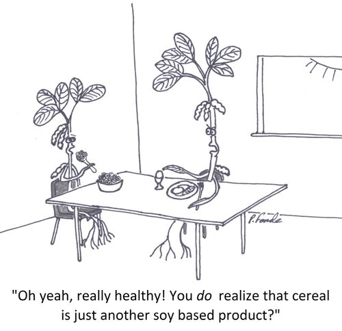 'Oh yeah, really healthy! You do realize that cereal is just another soy based product?'