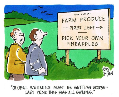 'Global warming must be getting worse - last year this was all swedes.'