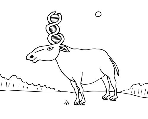 Moose with twisted antlers like a DNA helix.