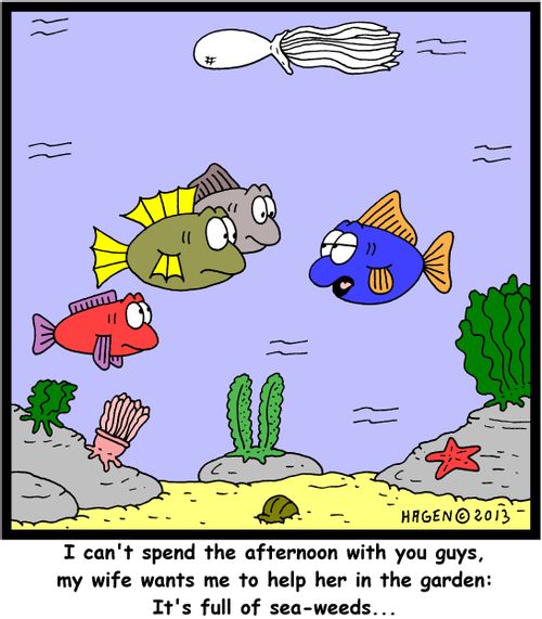 'I can't spend the afternoon with you guys, my wide wants me to help her in the garden: It's full of sea-weeds...'