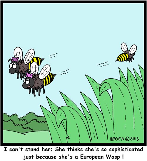 'I can't stand he: She thinks she's so sophisticated just because she's a European Wasp!'