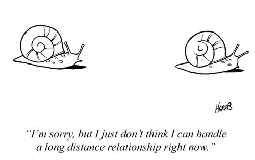 'I'm sorry, but  just don't think I can handle a long distance relationship right now.'