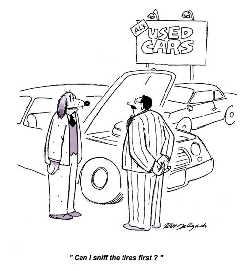 'Can I sniff the tires first?'