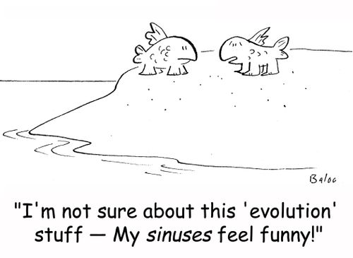'I'm not sure about this 'evolution' stuff -- My sinuses feel funny!'