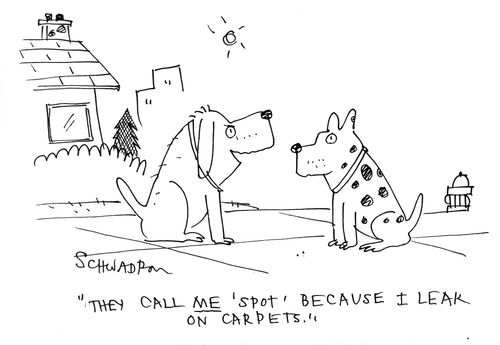 'They call me Spot because I leak on carpets.' 