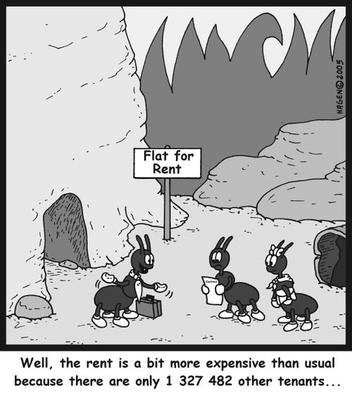 'Well, the rent is a bit more expensive than usual because there are only 1 327 482 other tenants...'
