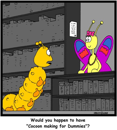 'Would you happen to have 'Cocoon making for Dummies'?'