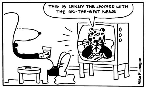 This is Lenny the leopard with the on-the-spot news.