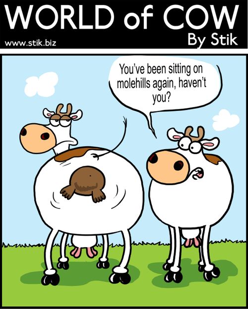 You've been sitting on molehills again, haven't you?
