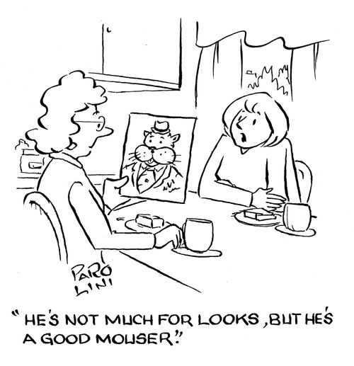 'He's not much for looks, but he's a good mouser.'