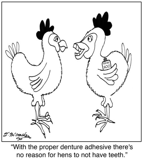 'With the proper denture adhesive there's no reason for hens to not have teeth.'
