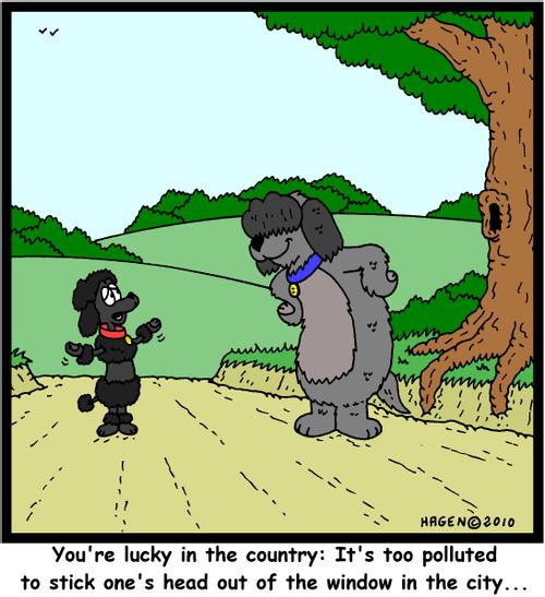 'You're lucky in the country: It's too polluted to stick one's head out of the window in the city...'