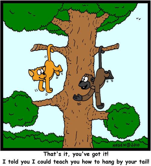 'That's it, you've got it! I told you I could teach you how to hang by your tail!'