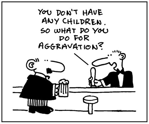 'You don't have any children. So what do you do for aggravation?'