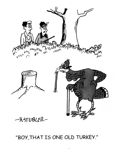 'Boy, that is one old Turkey.'