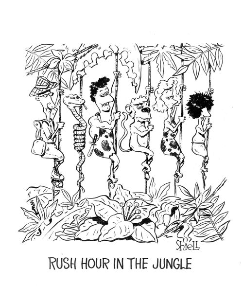 Rush Hour In The Jungle.