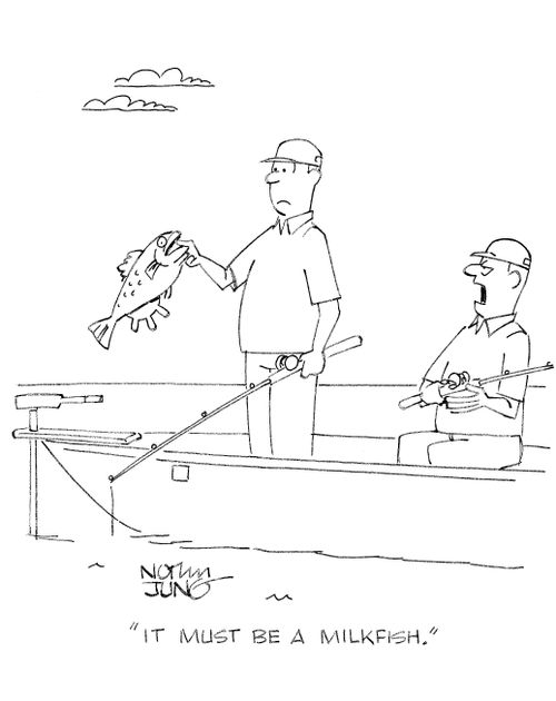 'It must be a milkfish.'