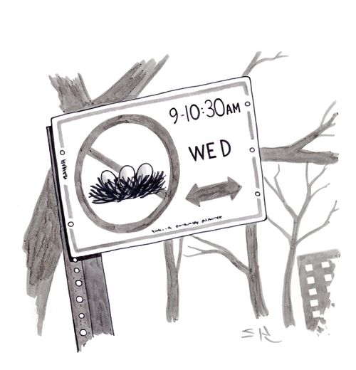 No Nesting