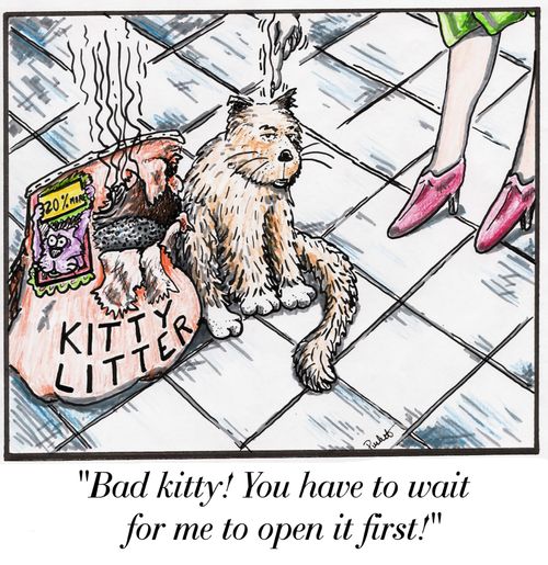 Bad kitty! You have to wait for me to open it first!