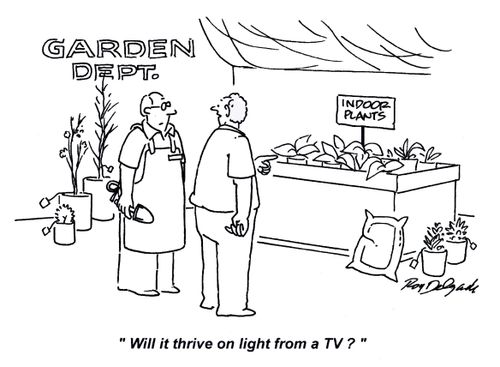 'Will it thrive on light from a TV?'