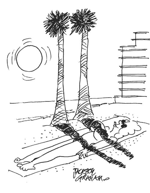The Sun Bather