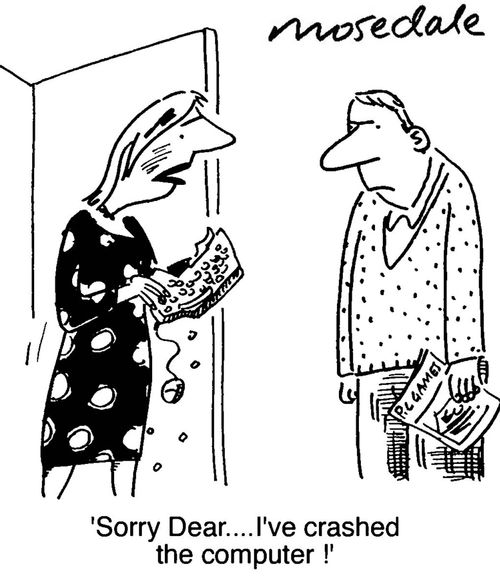 'Sorry Dear...I've crashed the computer!'