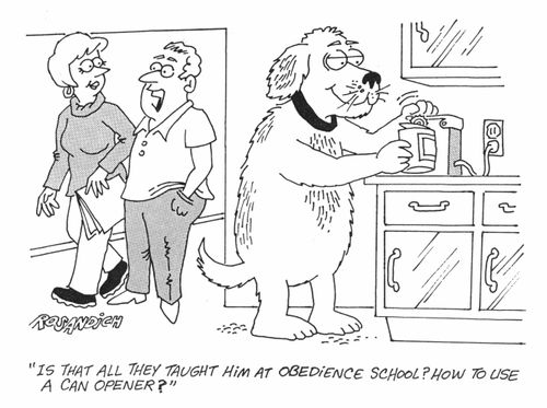 "Is that all they taught him at obedience school? How to use a can opener?"