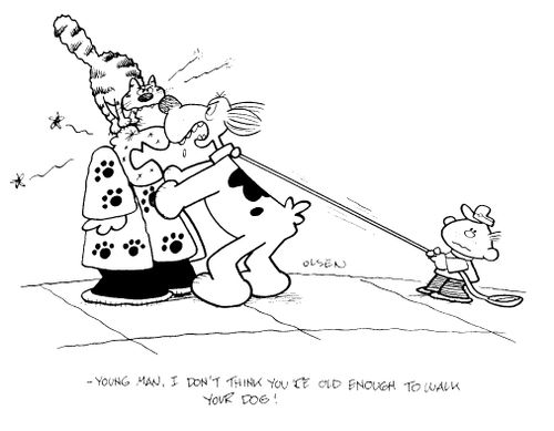 "Young man, I don't think you're old enough to walk your dog!"